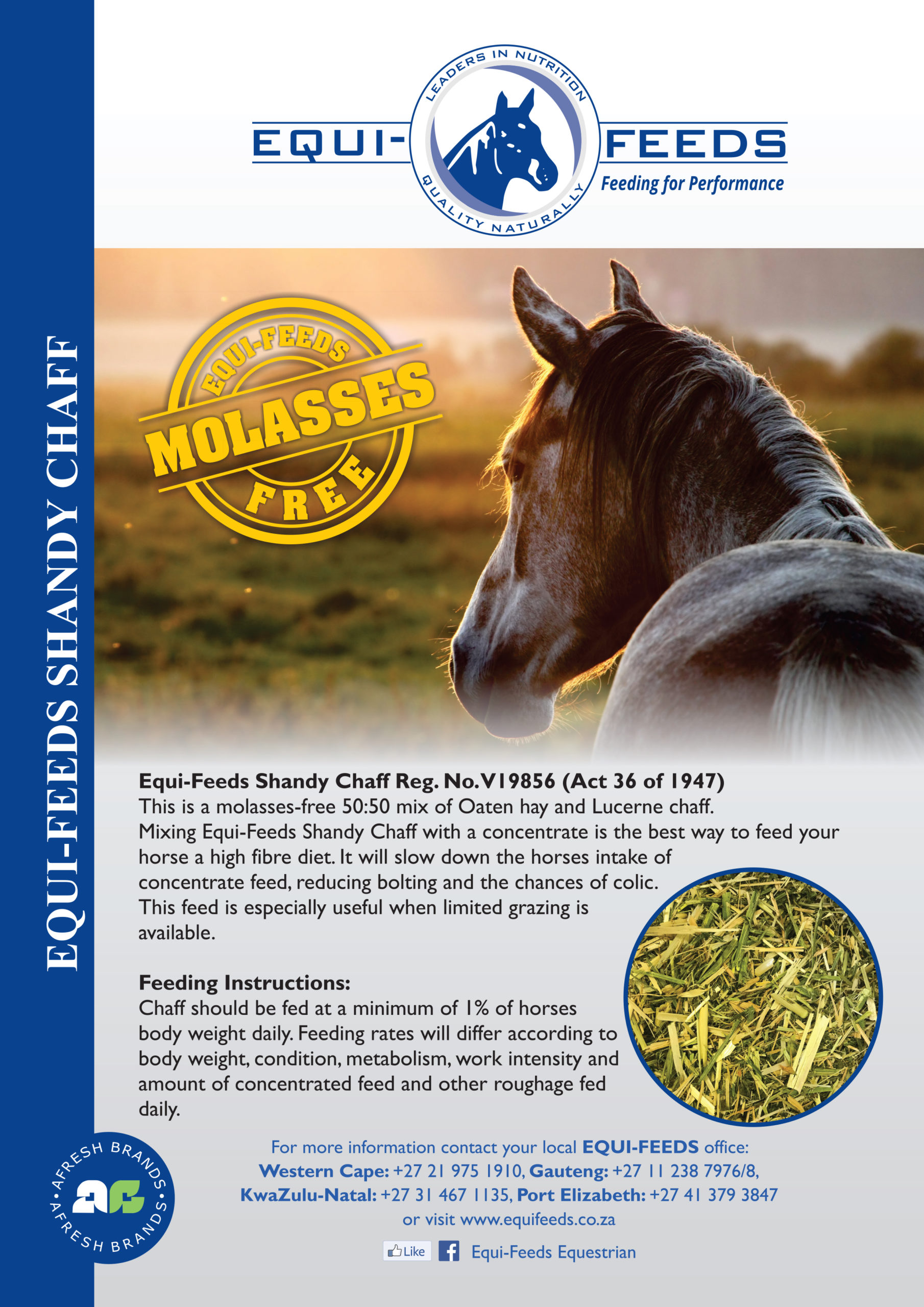 Equi-Feeds Shandy Chaff