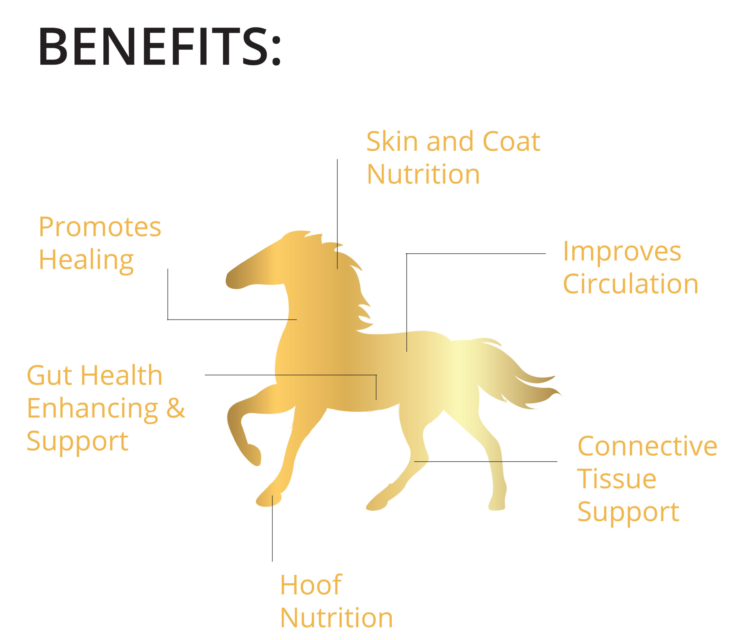 Equigold