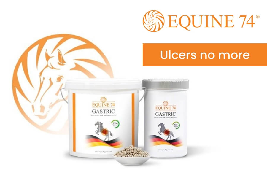 HH Feeds Promotions - Equine 74
