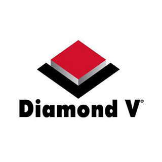 Original XP Diamond V