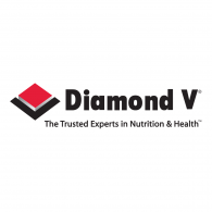 Original XP Diamond V