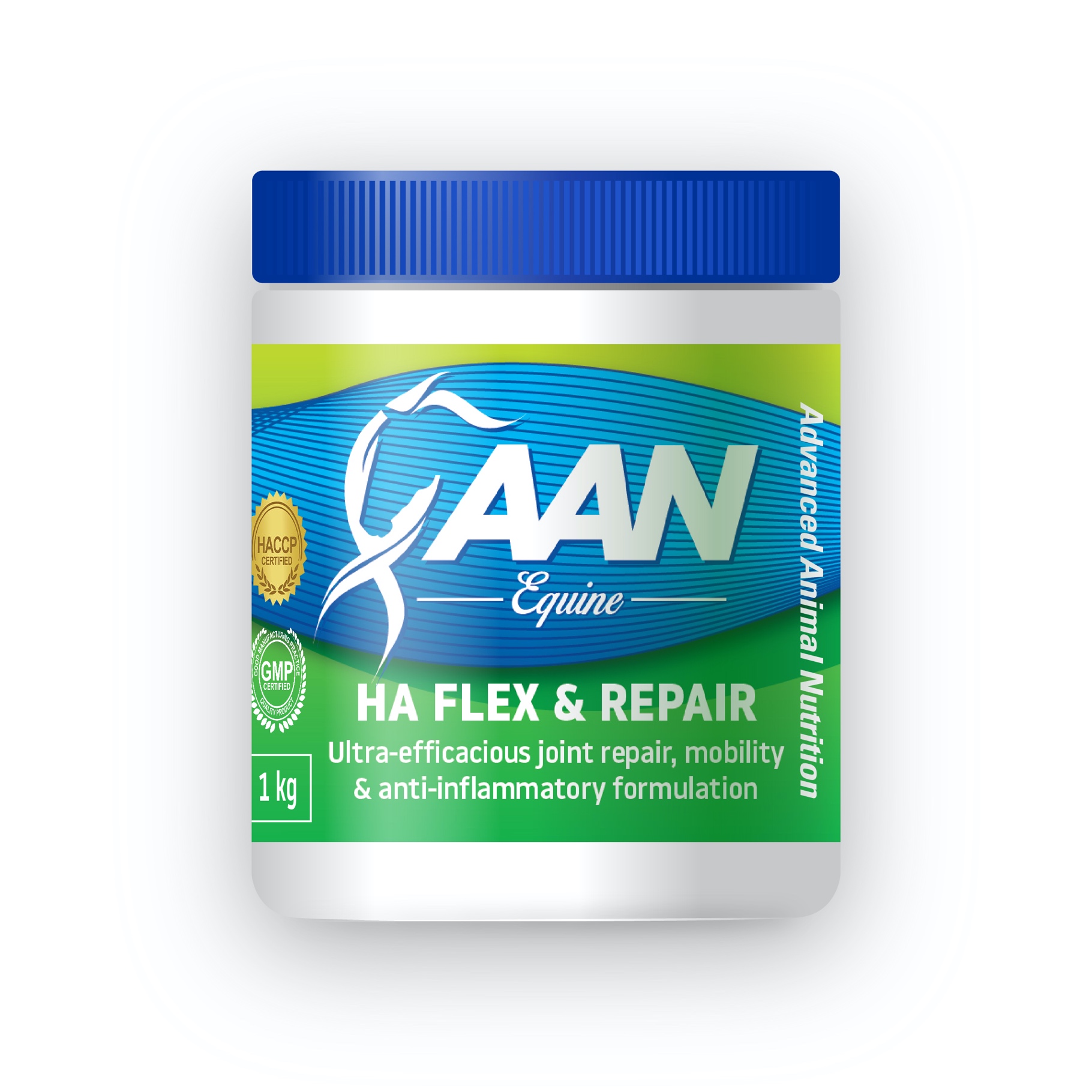 aan flex and repair