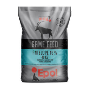epol antelope cubes