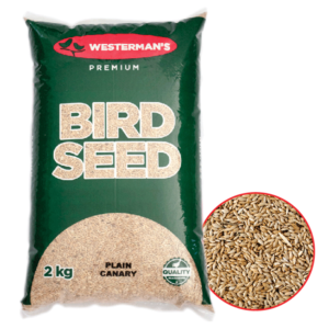 westermans plain canary seeds