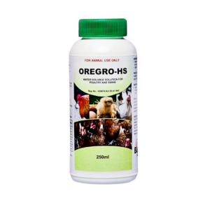 oregro hs