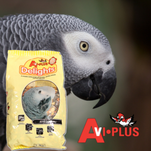 Avi Plus Delights African Grey